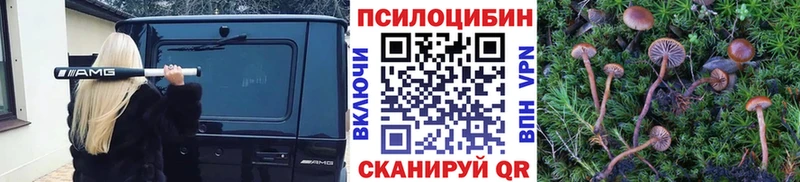 Псилоцибиновые грибы ЛСД  Сурск 
